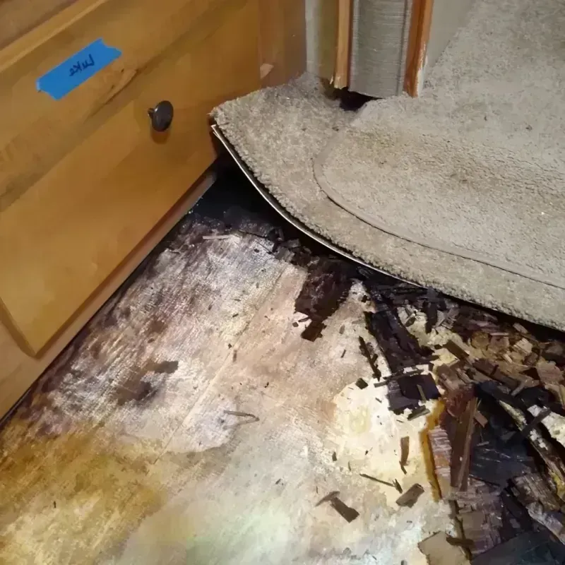 Best Wood Floor Water Damage Service in West Laurel, MD